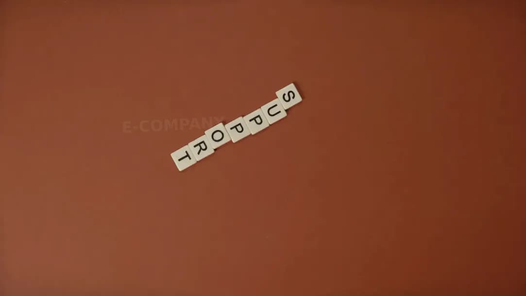 E-COMPANY